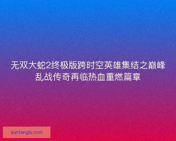 无双大蛇2终极版跨时空英雄集结之巅峰乱战传奇再临热血重燃篇章